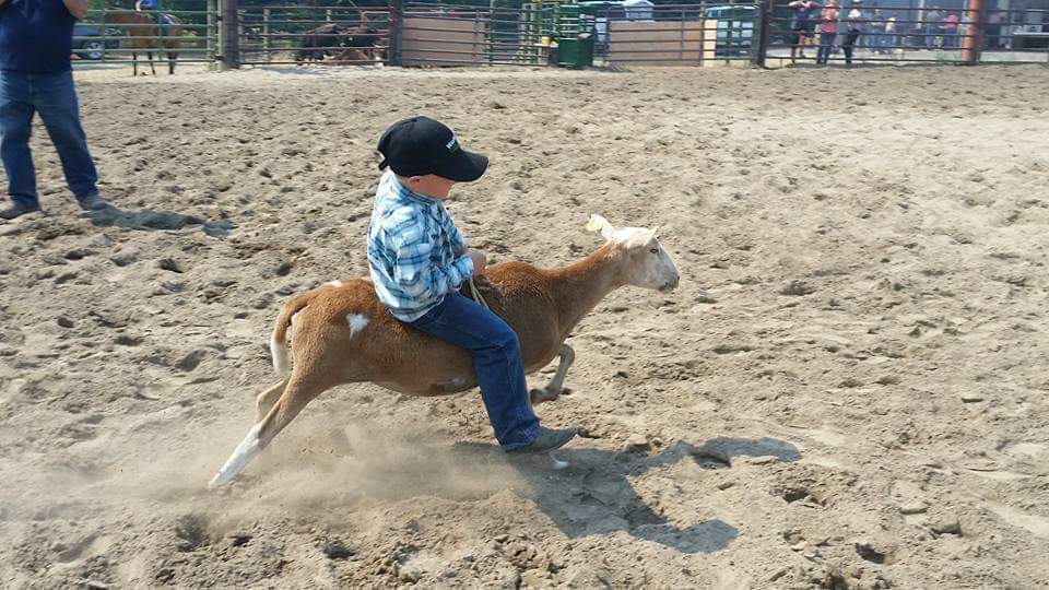 Arden Old Timers Kids Day Returns Sept. 20 with Rodeo Fun for All&nbsp;Ages