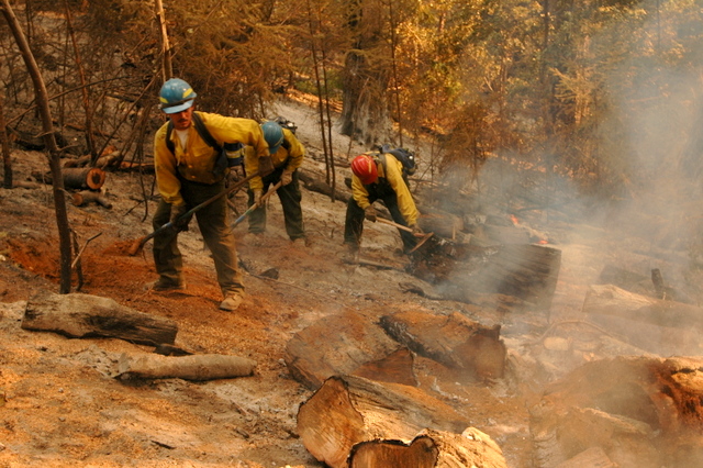 The Forest Service claims it’s fully staffed for fire season. Data shows thousands of unfilled&nbsp;jobs